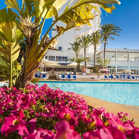 Hotell Globales Mimosa